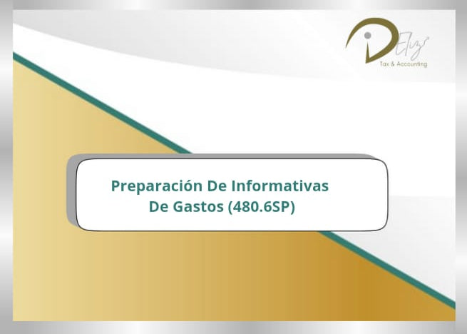 Preparación de Informativas de gastos (480.6SP)